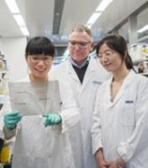 Inhibitors could treat majority of MM patients, team says