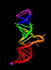 Drug can prevent bleeding in hemophilia A and B