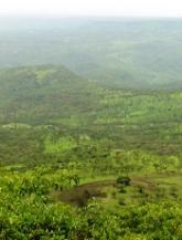 Warmer temperatures push malaria to higher elevations