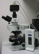 Team devises novel fluorescence microscopy technique