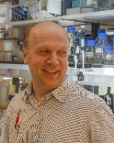 Computer model simulates blood development