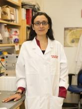Team identifies potential biomarkers for AML therapy