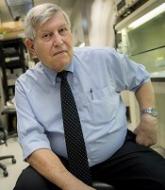 New drug proves effective against malaria