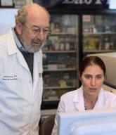 In situ vaccination eradicates lymphoma, other cancers