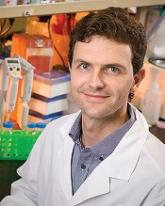 Mapping the genomic landscape of T-ALL