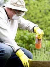 Home pesticide exposure linked to childhood cancers