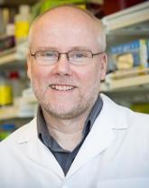 Vector may make gene therapy safer