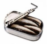 sardines in a tin can