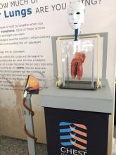 Robots have long been an interest of the author – both professionally and as a hobby. As a part of the CHEST Foundation’s Lung Health Experience, Chad Jackson constructed a simple robot that included pig lungs to simulate human lung activity.