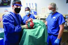 The first pig-to-human heart transplant, performed at University of Maryland Medical Center, Baltimore