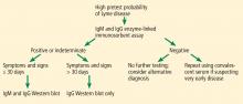 Standard 2-tier testing for Lyme disease. Ig = immunoglobulin.