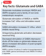 Key facts: Glutamate and GABA