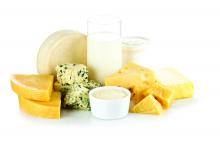 Various dairy products