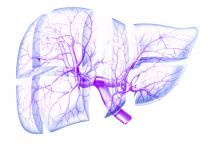 Hepatic Circulation - illustration