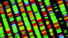 genomic analysis