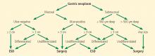 Treatment algorithm based on the histopathologic evaluation after resection of early gastric tumors.