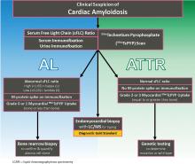 Diagnostic algorithm for cardiac amyloidosis (CA).