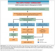 Figure 3. COPD Foundation Pocket Consultant Guide.