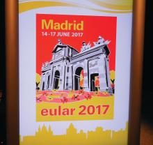 Madrid Eular 2017