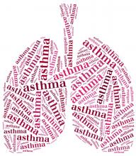 Illustration of lungs