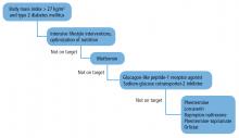 Therapeutic algorithm for patients with obesity and type 2 diabetes mellitus.