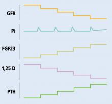 Chronic renal failure and hyperphosphatemia