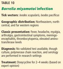 Borrelia miyamotoi infection