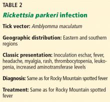 Rickettsia parkeri infection