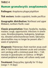 Human granulocytic anaplasmosis