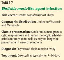 Ehrlichia muris-like agent infection