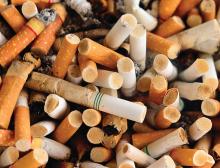 Cigarette butts