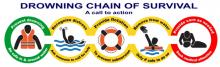 Figure 1. Drowning chain of survival. 