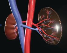 Illustration of kidneys