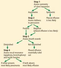 Algorithmic approach to physical examination for suspected pneumonia vs pleural effusion.