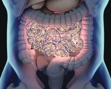 Illustration of the bacterial mocrobiome within the gut