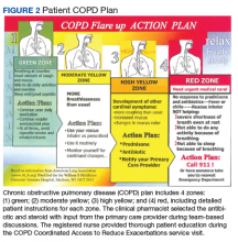 Reducing COPD Readmission Rates: Using a COPD Care Service During Care ...