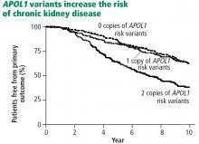 Proportion of patients free from progression of chronic kidney disease, according to APOL1 genotype, in the African American Study of Kidney Disease and Hypertension.