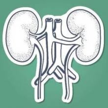 Women who donate a kidney are more than twice as likely to have preeclampsia or gestational hypertension in pregnancy.