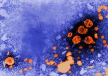 Patients who undergo immunosuppressive therapy but are at risk for reactivation of hepatitis B infection should receive antiviral prophylaxis, rather than treating only if it develops.