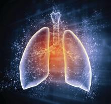 Schematic illustration of human lungs