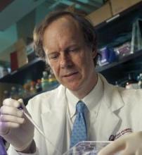 Dr. William G. Kaelin Jr. won the Nobel Prize for Physiology or Medicine in 2019