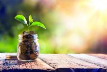 A plant grows out of a jar of coins