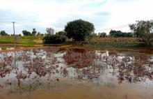 A muddy field