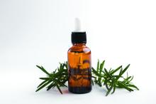 Rosemary essential oil and fresh twig.