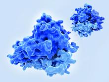 Tumor necrosis factor-alpha, molecular model