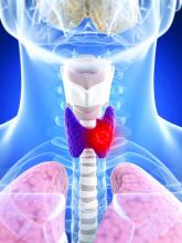 Illustration of a thyroid gland