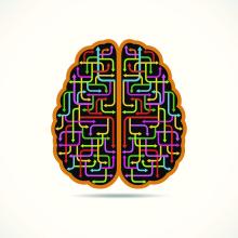 A cartoon brain with colored arrows inside pointing in different directions.