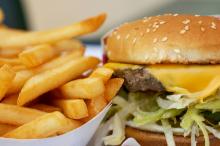 A cheeseburger with fries