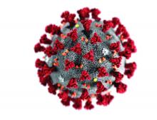 Illustration shows ultrastructural morphology exhibited by the 2019 novel coronavirus.