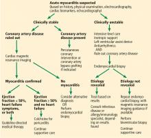 Figure 3. Our suggested approach to suspected acute myocarditis.